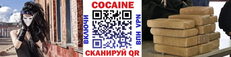 Купить где  Выкса  COCAIN Fish Scale 